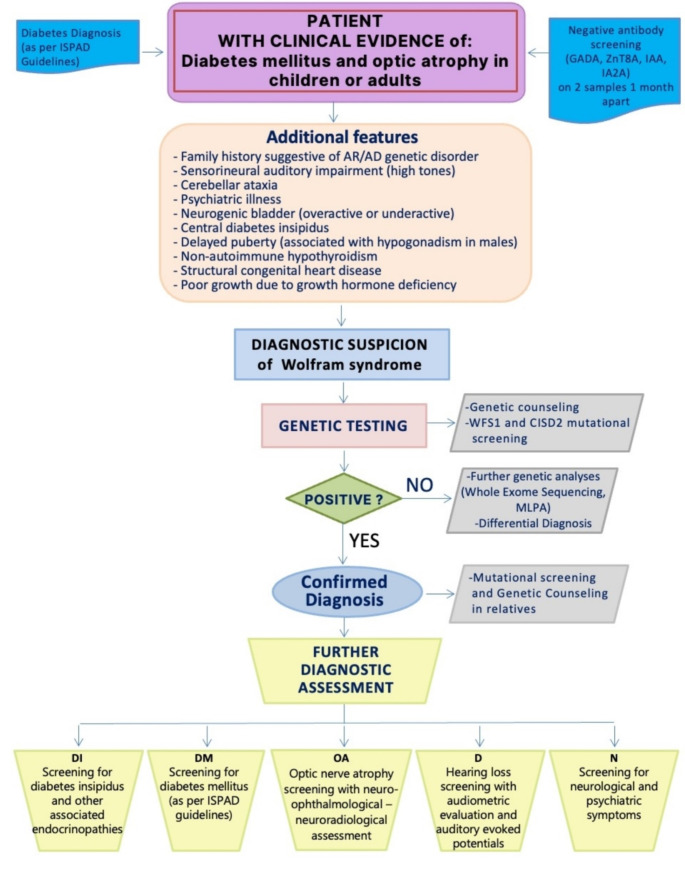 SID/SIEDP expert consensus on optimizing clinical strategies for early detection and management of wolfram syndrome.