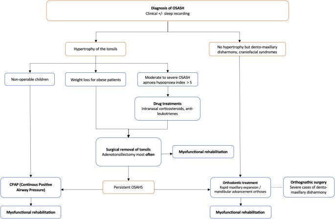 Management of obstructive sleep apnea-hypopnea syndrome in children: what is the role of orthodontics? A scoping review.