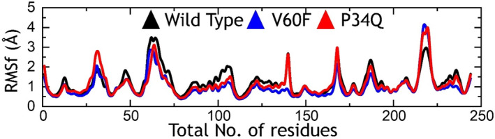 Exploring the Dynamic Interplay of Deleterious Variants on the RAF1-RAP1A Binding in Cancer: Conformational Analysis, Binding Free Energy, and Essential Dynamics.