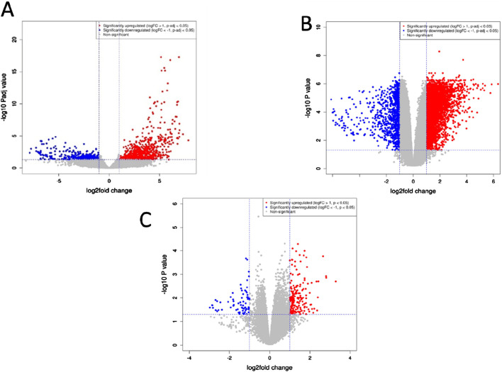 Identification of key hub genes in pancreatic ductal adenocarcinoma: an integrative bioinformatics study.
