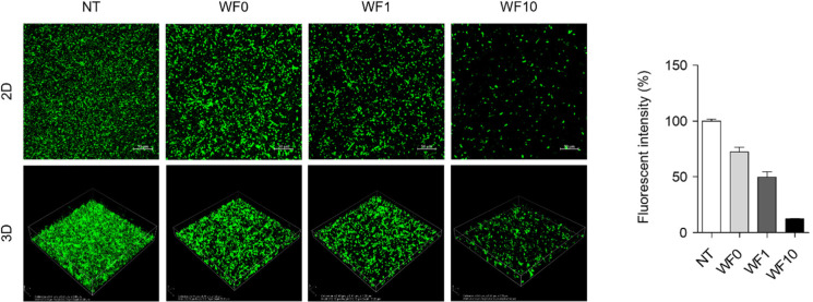 Inhibition of <i>Salmonella</i> Typhimurium Biofilm Formation, Adhesion, and Invasion by Whey Beverage Supplemented with <i>Triticum dicoccum</i> (Farro) Enzyme.