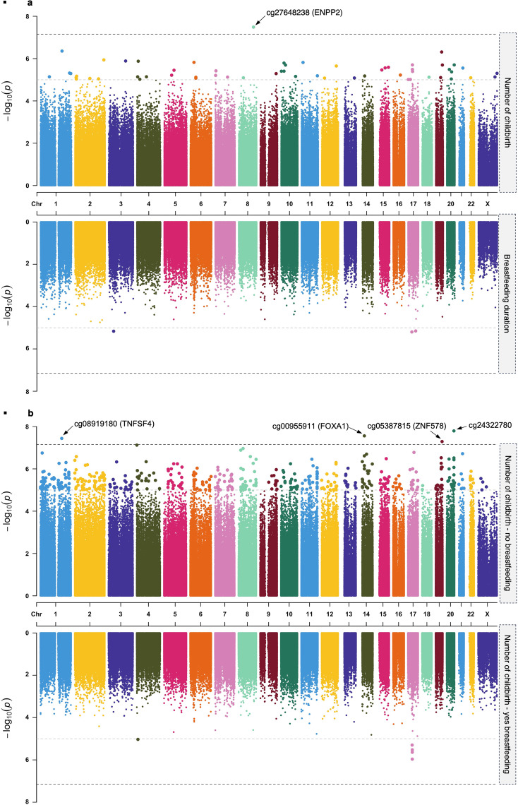Associations of DNA methylation in breast tumour subtypes with parity and breastfeeding in a cohort of 1459 Black women: implications for public health.