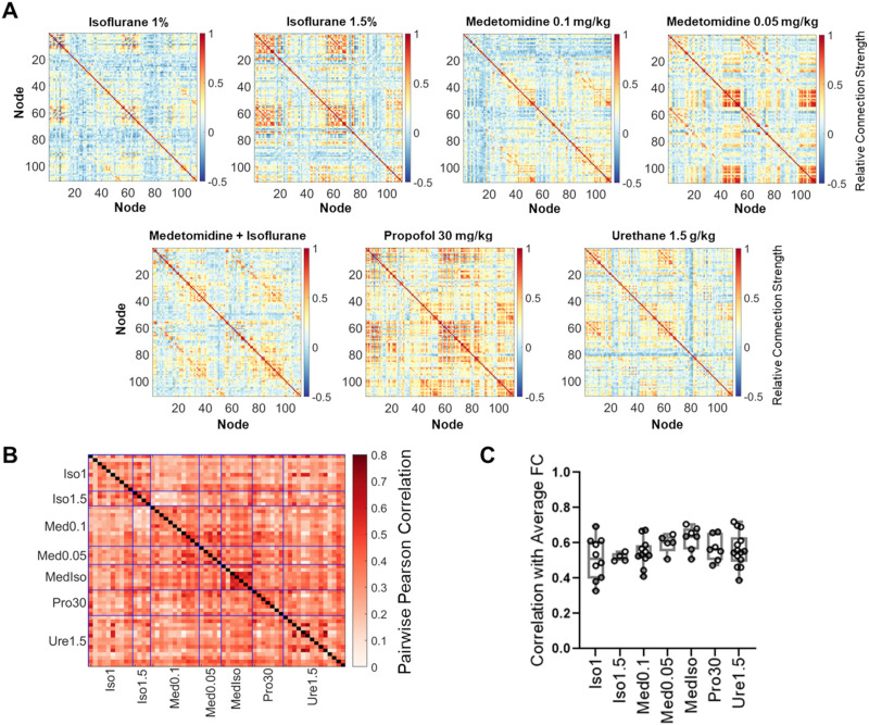 Individualized mouse brain network models produce asymmetric patterns of functional connectivity after simulated traumatic injury.