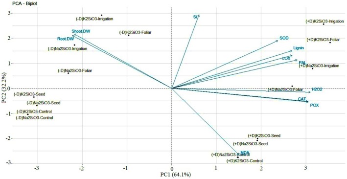 Silicon Protection of Sugar Beet (<i>Beta vulgaris</i>) Against Field Dodder (<i>Cuscuta campestris</i>): Preliminary Analysis.