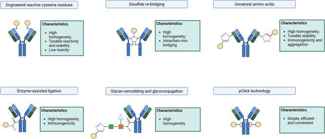Overview of antibody-drug conjugates nonclinical and clinical toxicities and related contributing factors.
