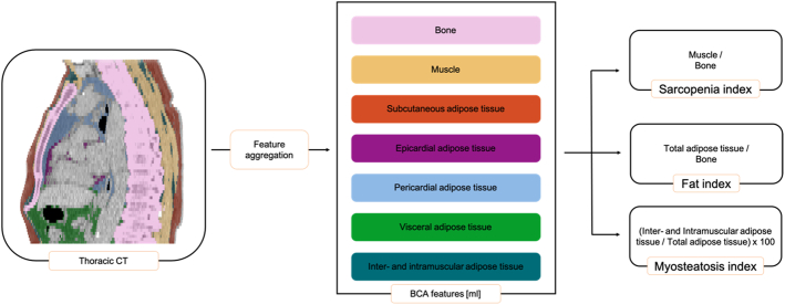 Automated 3D-Body Composition Analysis as a Predictor of Survival in Patients With Idiopathic Pulmonary Fibrosis.