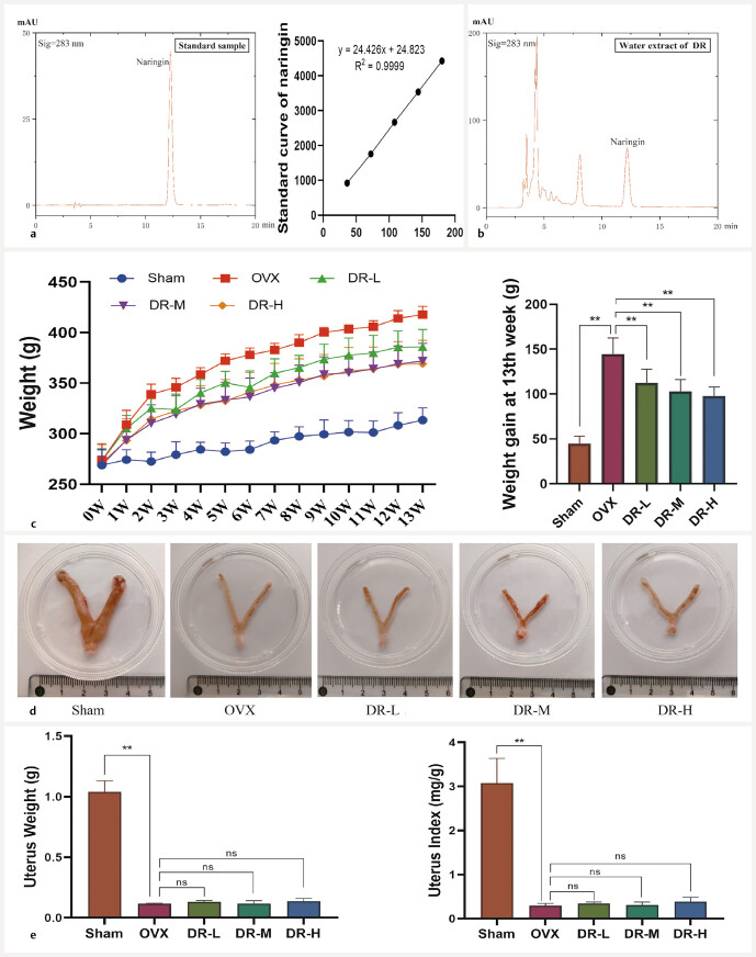 Extracts of Drynariae Rhizoma Promote Bone Formation in OVX Rats through Modulating the Gut Microbiota.