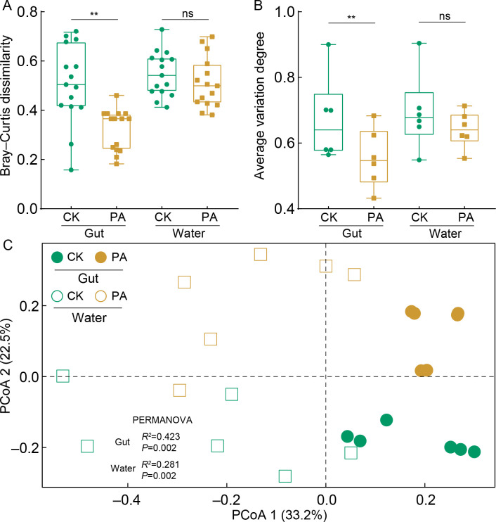 Beneficial effects of probiotics on <i>Litopenaeus vannamei</i> growth and immune function via the recruitment of gut Rhodobacteraceae symbionts.