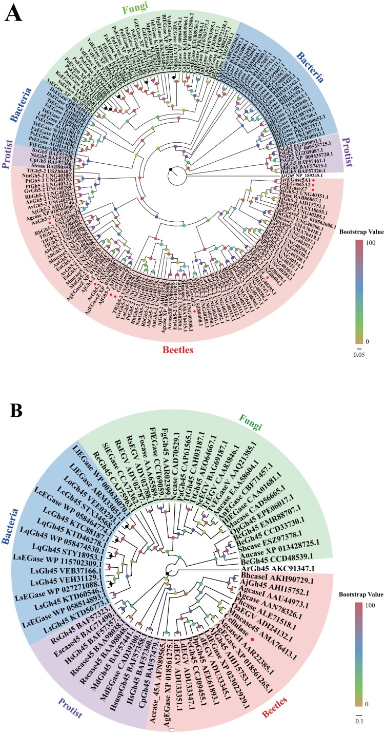 Correction to: Cellulose degradation in Glenea cantor (Fabricius) (Coleoptera: Cerambycidae): functional characterization of GcEGaseZ7 and Cellulase reveals a novel enzymatic activity.
