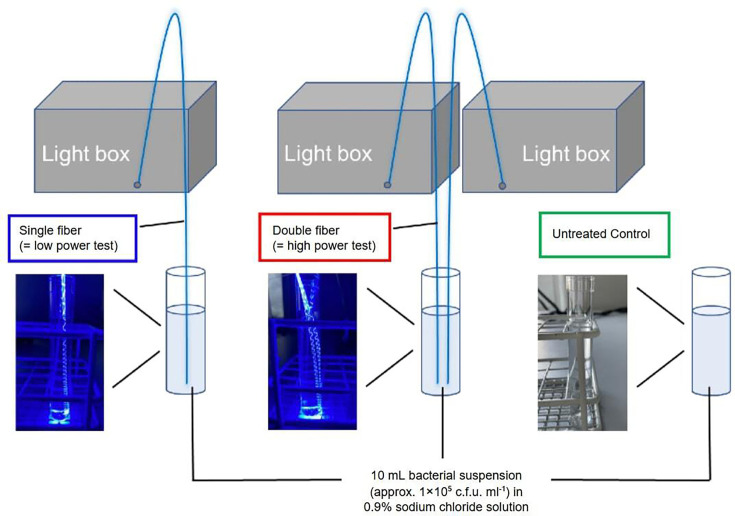 Antimicrobial effect of blue light on antibiotic-sensitive and drug-resistant Escherichia coli: a novel isotropic optical fibre.