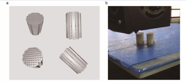 Characterization and Biocompatibility Assessment of 3D-Printed HA/PCL Porous Bionic Bone Scaffold: <i>in Vitro</i> and <i>in Vivo</i> Evaluation.
