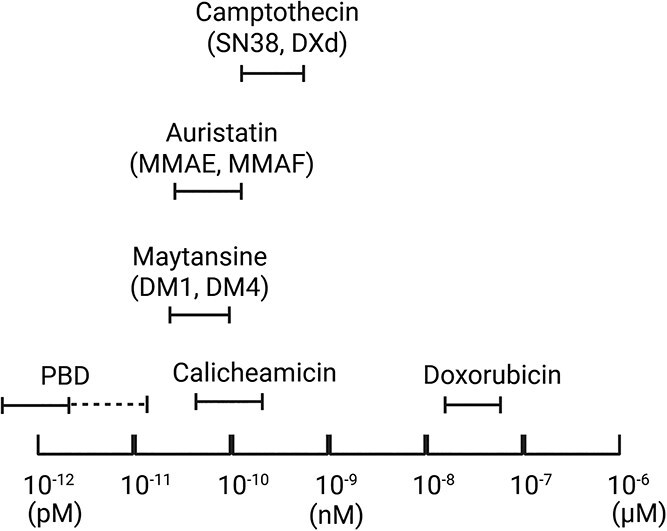 Overview of antibody-drug conjugates nonclinical and clinical toxicities and related contributing factors.