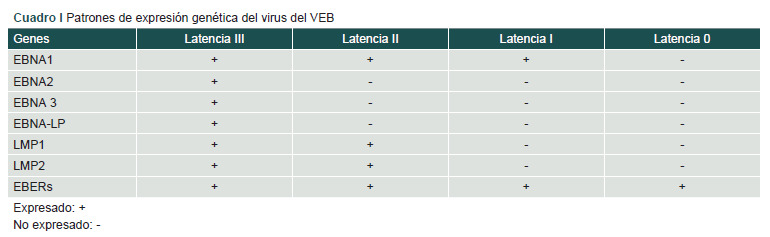 [Multiple sclerosis and the Epstein-Barr Virus: Current perspectives on their pathogenic mechanisms].
