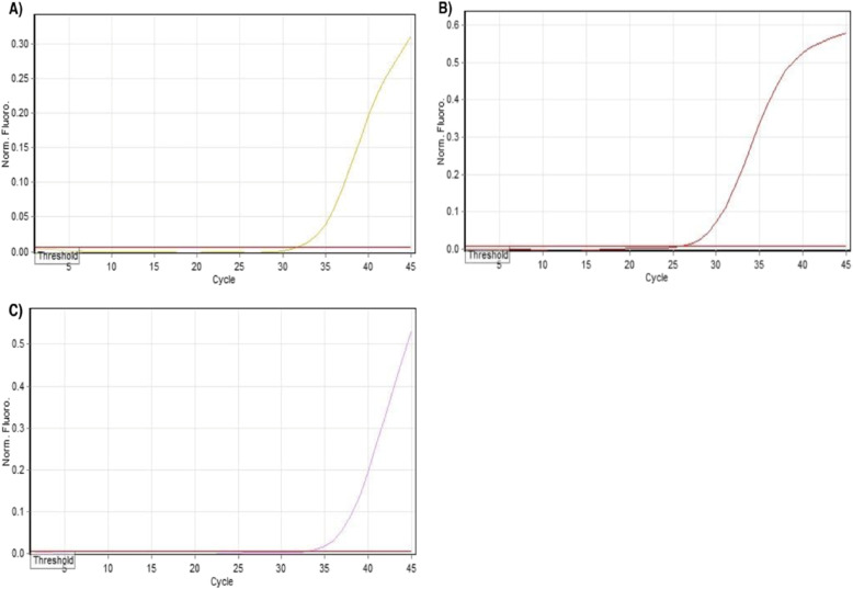 Association between single nucleotide polymorphisms of DNA repair genes (BRCA1, BRCA2, and PALB2) and breast cancer incidence in a subset of Iranian population.