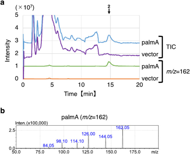 Biosynthetic Pathways of Alaremycin and Its Derivative: Inhibitors of Porphobilinogen Synthase in Porphyrin Biosynthesis from <i>Streptomyces</i> sp. A012304.