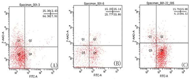 The Earlier Apoptosis in Human Sperm: Its Correlation with Semen Parameters and Assisted Reproduction Outcome.