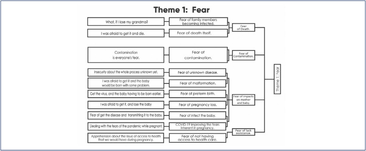 The experience of pregnancy in the COVID-19 pandemic.