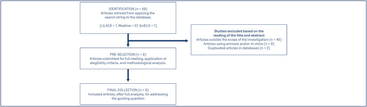 Clinical repercussions of statin use during pregnancy: a review of the literature.
