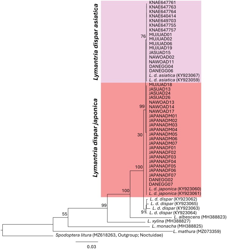 Correction to: Cellulose degradation in Glenea cantor (Fabricius) (Coleoptera: Cerambycidae): functional characterization of GcEGaseZ7 and Cellulase reveals a novel enzymatic activity.