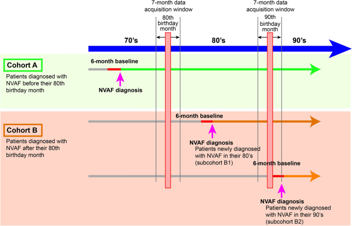 Patient Characteristics and Real-World Treatment of Very Elderly Patients with Nonvalvular Atrial Fibrillation in Japan: An Administrative Claims Database Study.