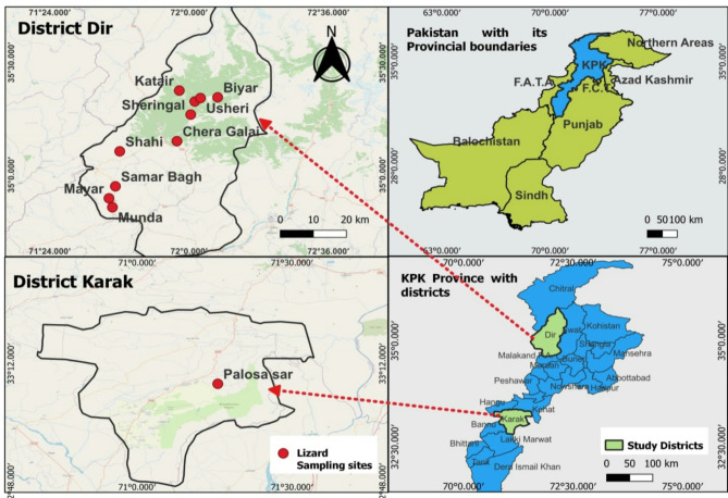 Leading report on the molecular prevalence of emerging pathogens Hepatozoon sp. and Lankesterella sp. in the blood samples of seven wild lizard species.