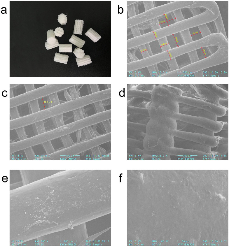 Characterization and Biocompatibility Assessment of 3D-Printed HA/PCL Porous Bionic Bone Scaffold: <i>in Vitro</i> and <i>in Vivo</i> Evaluation.