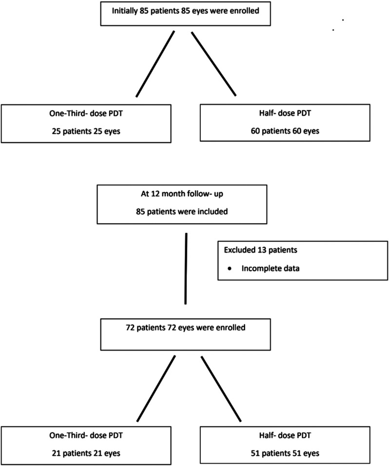 Comparative efficacy of half-dose and one-third-dose photodynamic therapy in chronic central serous chorioretinopathy: a retrospective study.