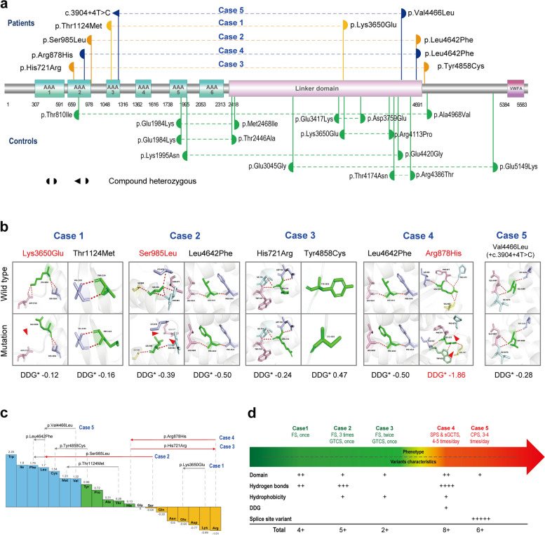 MDN1 variants cause susceptibility to epilepsy : For the China Epilepsy Gene 1.0 Project.