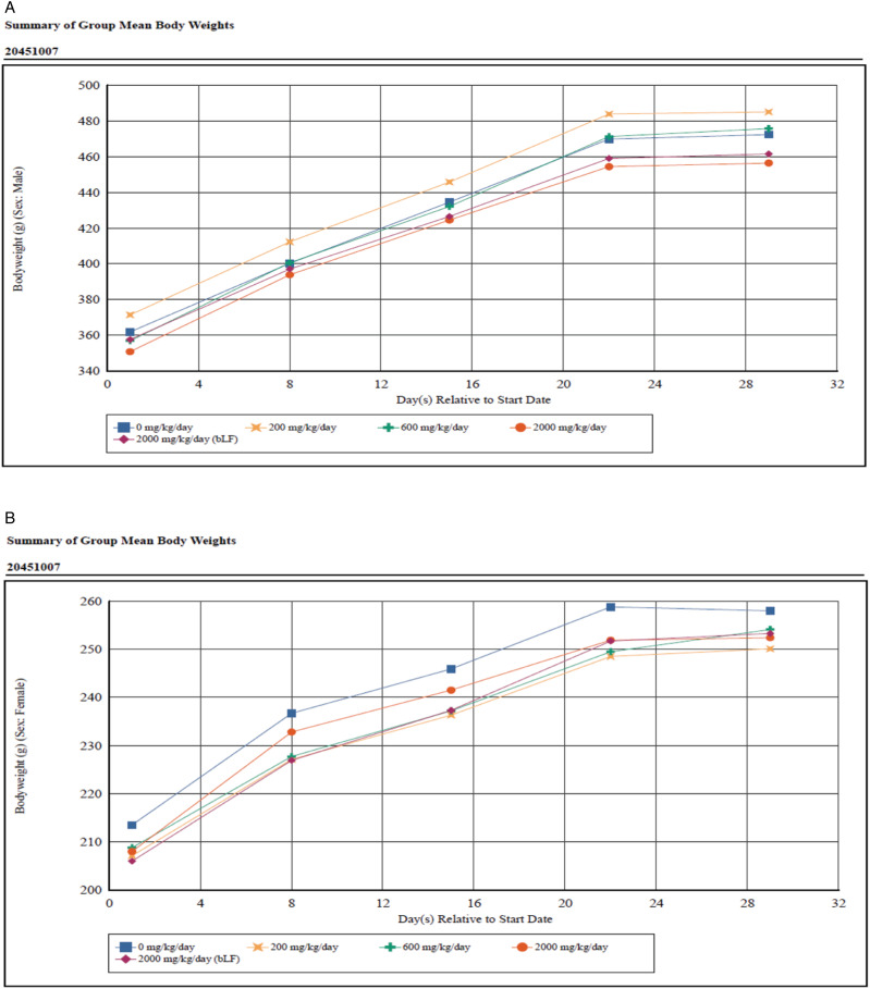 Four-Week GLP Immunotoxicity Assessment of Lactoferrin Alpha Produced by <i>Komagataella phaffii</i> in Sprague-Dawley Rats.