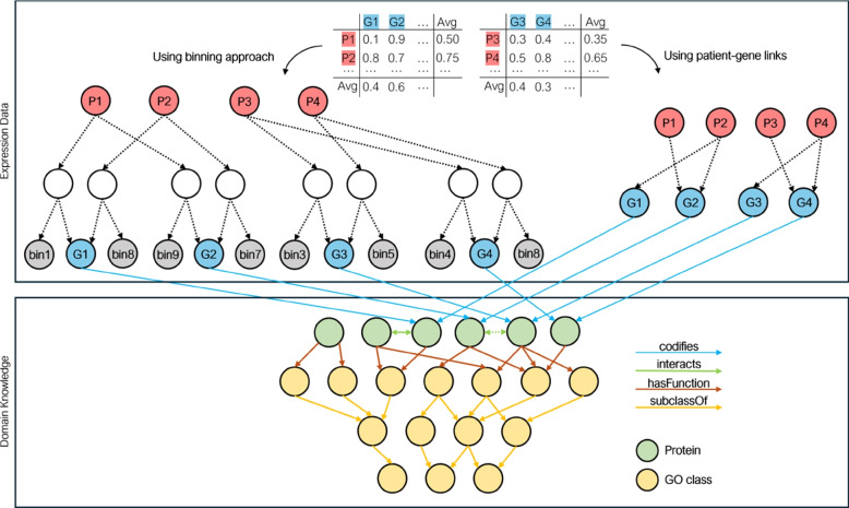 Gene expression knowledge graph for patient representation and diabetes prediction.