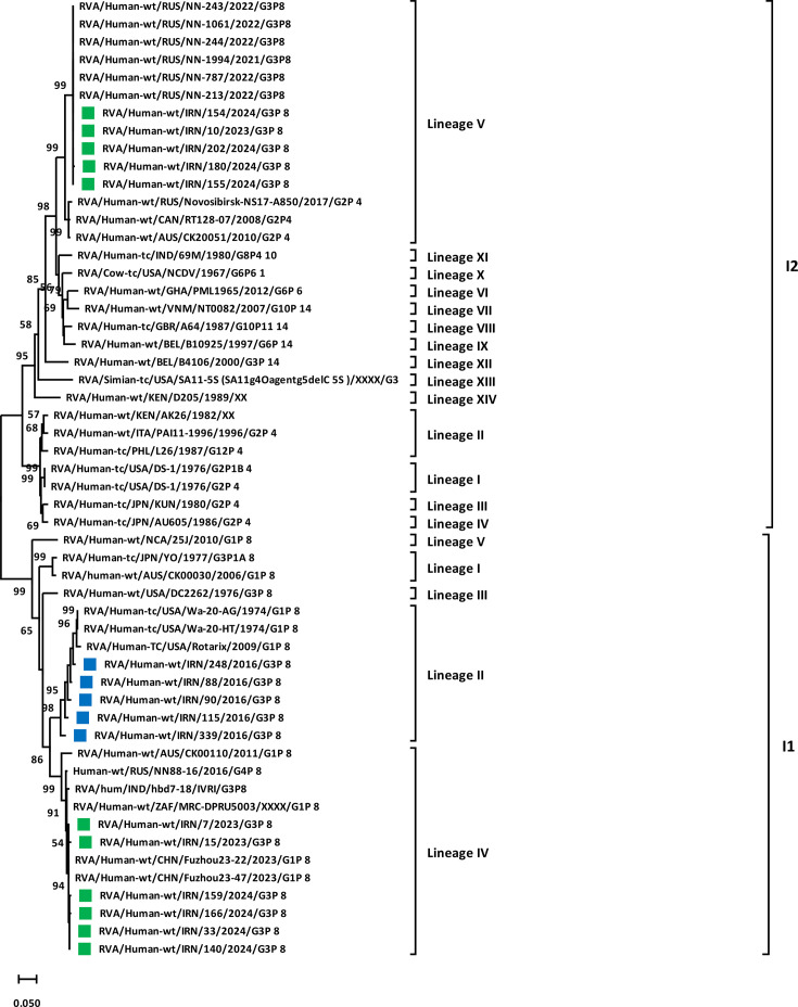 Genetic characterization of rotavirus A strains circulating in children under 5 years of age with acute gastroenteritis in Tehran, Iran, in 2023-2024: dissemination of the emerging equine-like G3P[8]-I2-E2 DS-1-like strains.