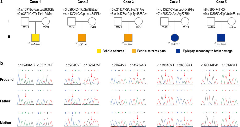 MDN1 variants cause susceptibility to epilepsy : For the China Epilepsy Gene 1.0 Project.
