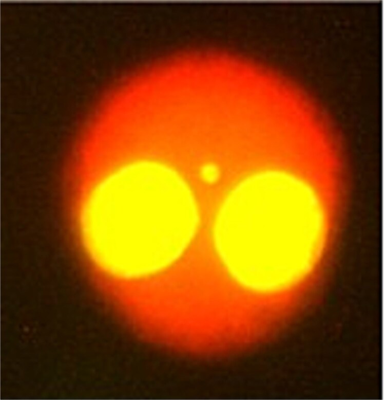 Abstract Image
