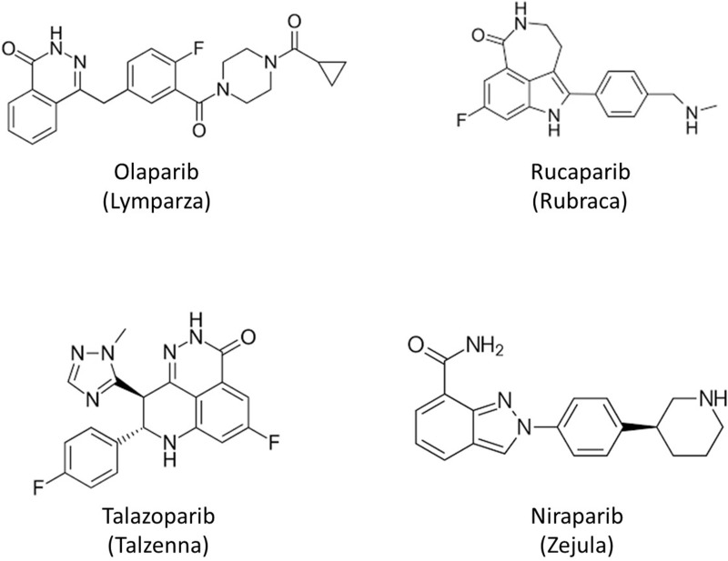 The Landscape of PARP Inhibitors in Solid Cancers.