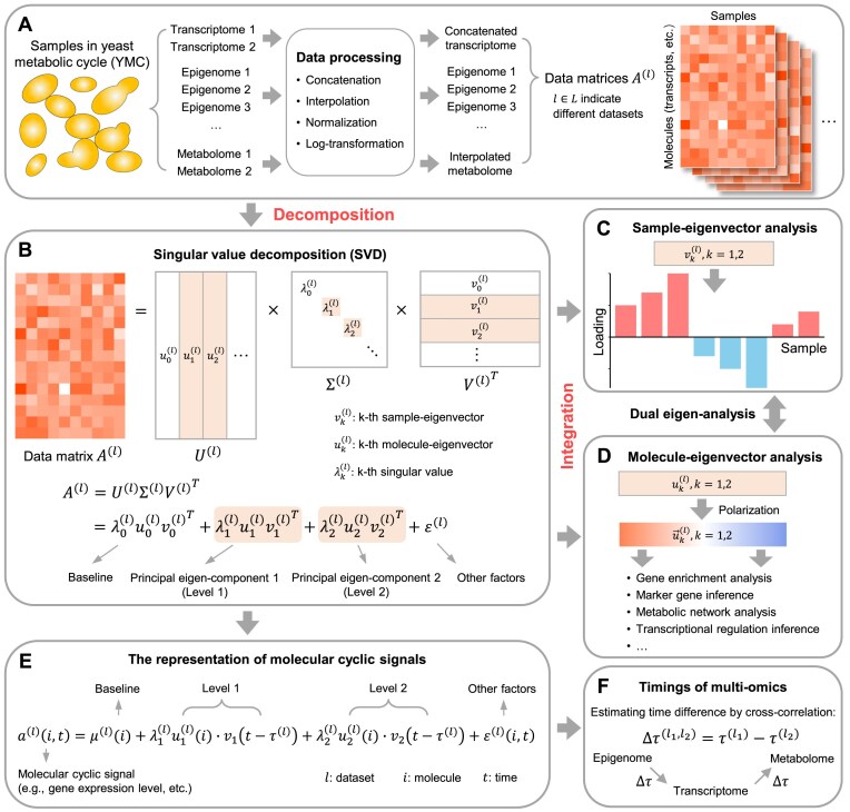 A four eigen-phase model of multi-omics unveils new insights into yeast metabolic cycle.