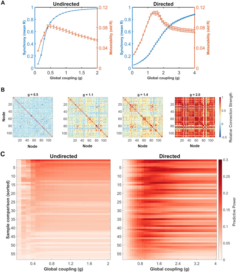 Individualized mouse brain network models produce asymmetric patterns of functional connectivity after simulated traumatic injury.