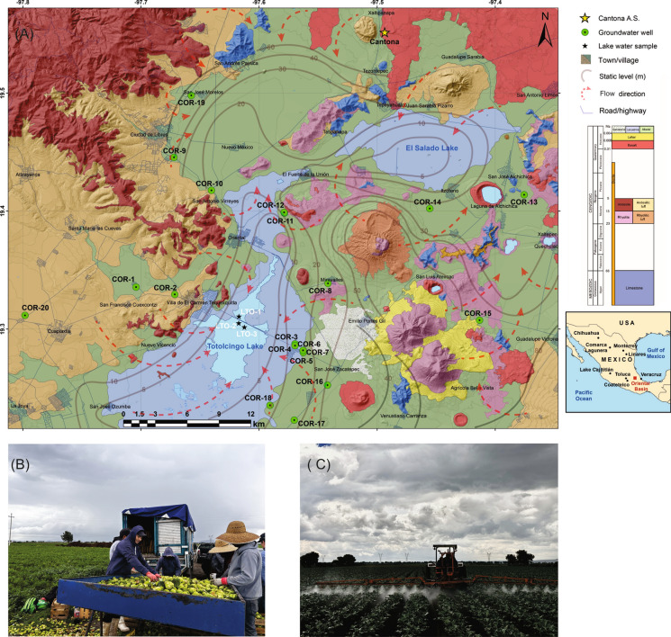 Geochemistry of some fluoride and nitrate enriched water resources from the Oriental Basin: a prospective health risk hotspot from eastern-central Mexico.