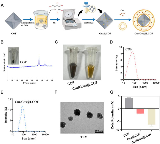 Triple synergistic enhancement of breast cancer treatment via chemotherapy, chemodynamic therapy, and tumor starvation therapy driven by lipid-COF nanoparticles.