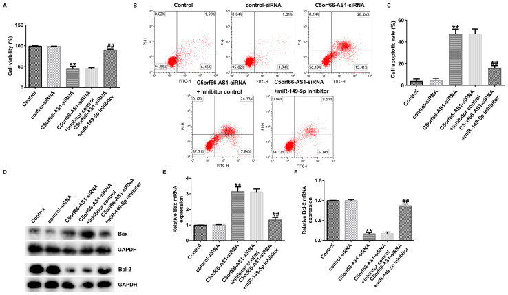 Erratum: [Corrigendum] Knockdown of lncRNA C5orf66‑AS1 inhibits osteosarcoma cell proliferation and invasion via miR‑149‑5p upregulation.