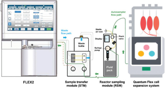 Integration of an automated cell culture analyzer with a closed-system hollow-fiber bioreactor for online metabolite detection and cell monitoring.