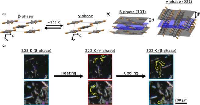Diffracted X-ray blinking reveals signature crystal polymorph dynamics in 1,2,3,5-Tetrabromobenzene.