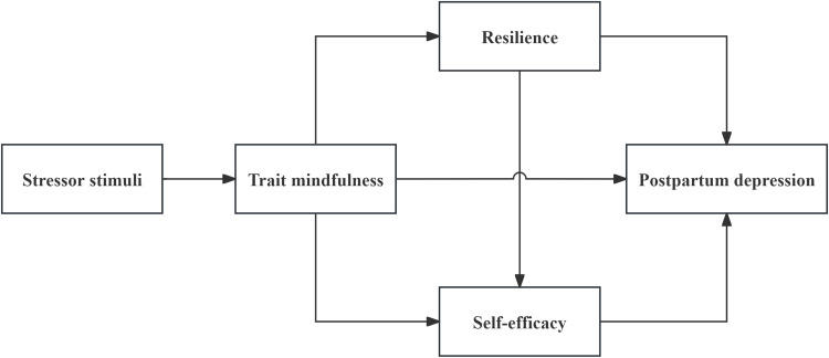Trait Mindfulness, Resilience, Self-Efficacy, and Postpartum Depression: A Dominance Analysis and Serial-Multiple Mediation Model.