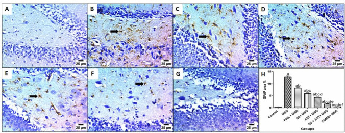 Modulating Multiple Molecular Trajectories by Nutraceuticals and/or Physical Activity in Attention-Deficit/Hyperactivity Disorder (ADHD)-Like Behaviors in Rat Pups.