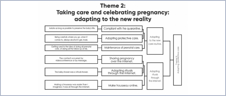 The experience of pregnancy in the COVID-19 pandemic.