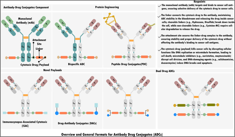 Revolutionizing oncology: the role of Artificial Intelligence (AI) as an antibody design, and optimization tools.