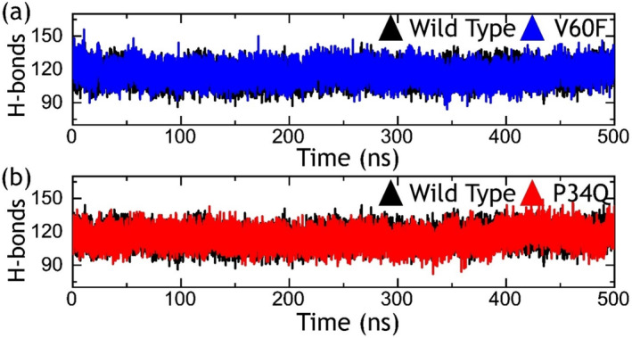 Exploring the Dynamic Interplay of Deleterious Variants on the RAF1-RAP1A Binding in Cancer: Conformational Analysis, Binding Free Energy, and Essential Dynamics.