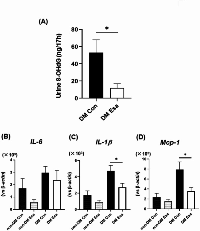 Blocking mineralocorticoid signaling with esaxerenone reduces atherosclerosis in hyperglycemic ApoE KO mice without affecting blood pressure and glycolipid metabolism.
