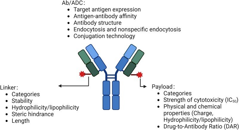 Overview of antibody-drug conjugates nonclinical and clinical toxicities and related contributing factors.