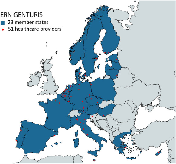 The European Reference Network on Genetic Tumour Risk Syndromes (ERN GENTURIS): benefits for patients, families, and health care providers.