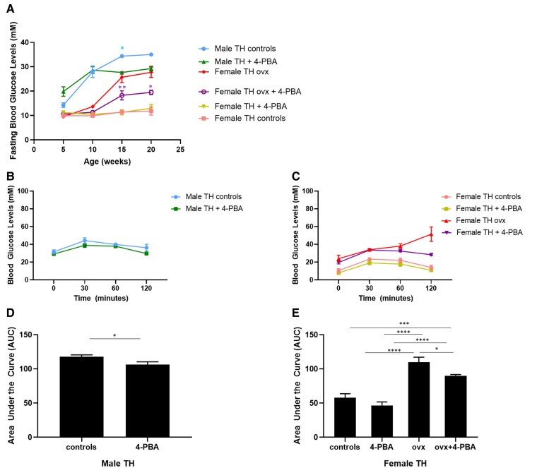 The Role of Estrogen and ER Stress in Glycemic Regulation in the Sexually Dimorphic TALLYHO/JngJ Mouse Model of Diabetes.